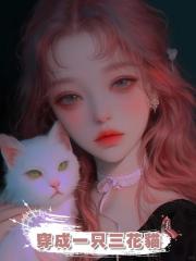 穿成一只三花貓